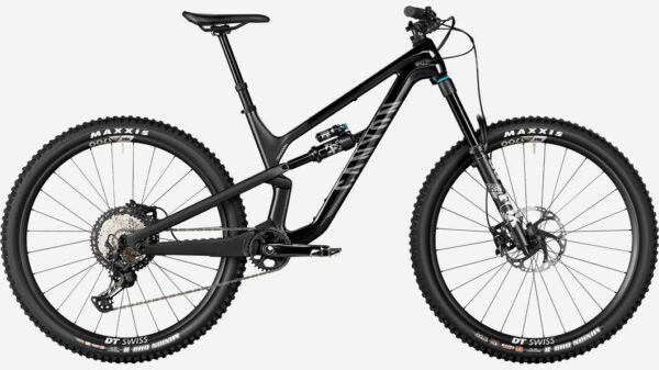 Canyon Spectral 29 CF 8 im Test