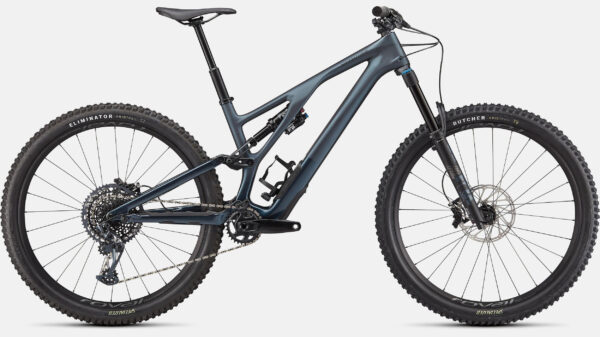 Specialized Stumpjumper EVO Expert Review