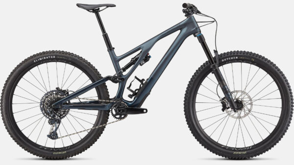 Specialized Stumpjumper EVO Expert im Test