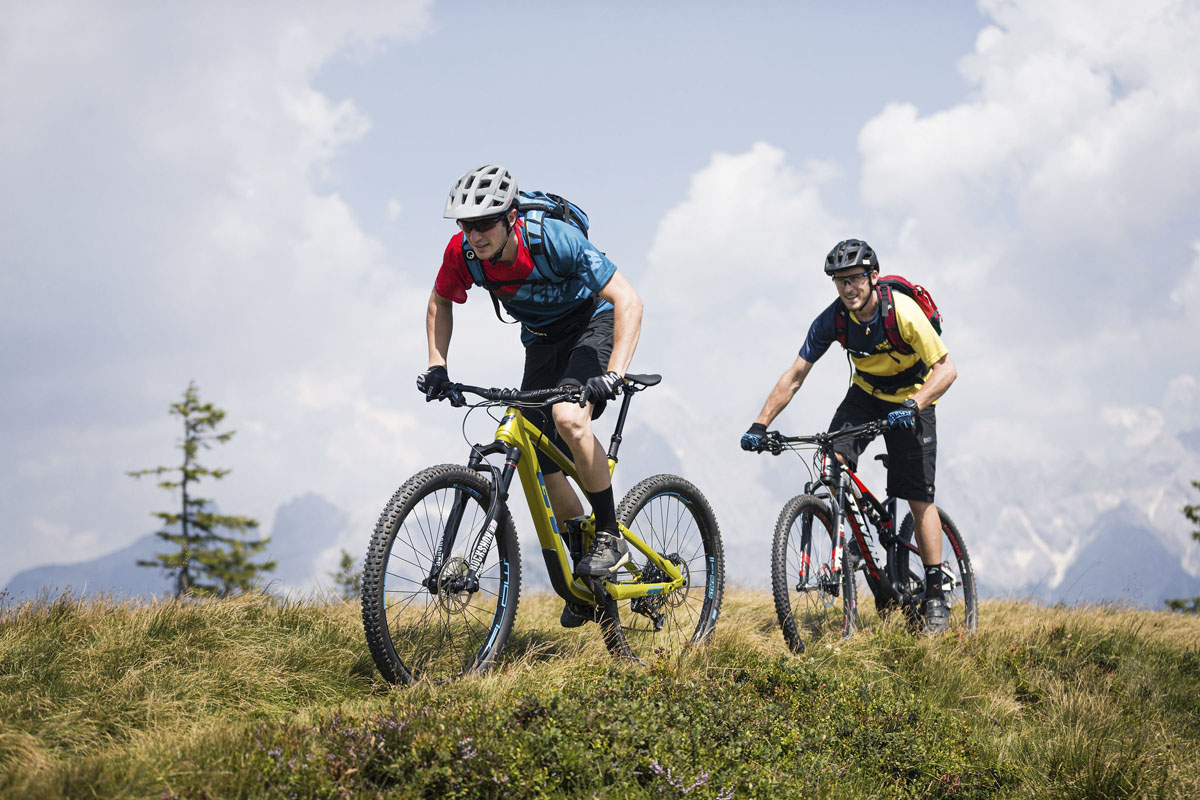 Which bike do you need for alpine crossings?